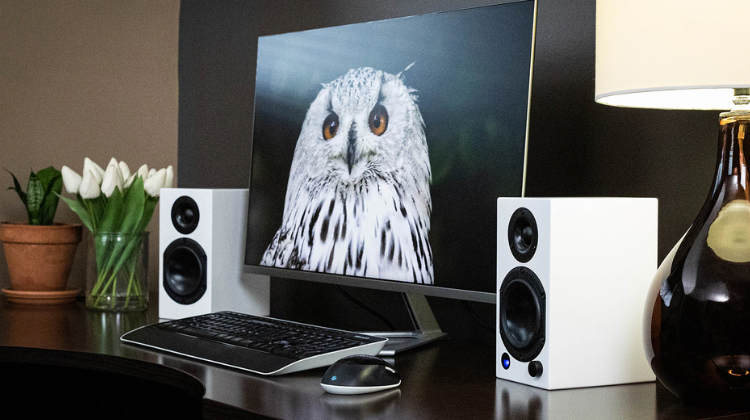 How do Computer Speakers Work and What are Some Examples