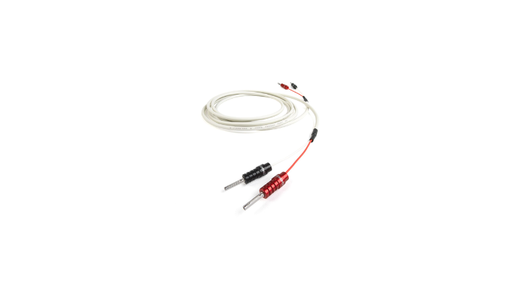Chord Company RumourX