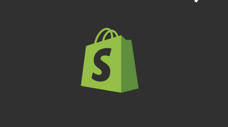 Best Institute Shopify Course in Chakwal City