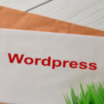 Best Institute Wordpress Course in Chakwal city