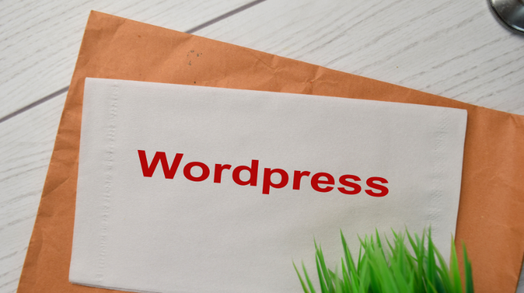 Best Institute Wordpress Course in Chakwal city